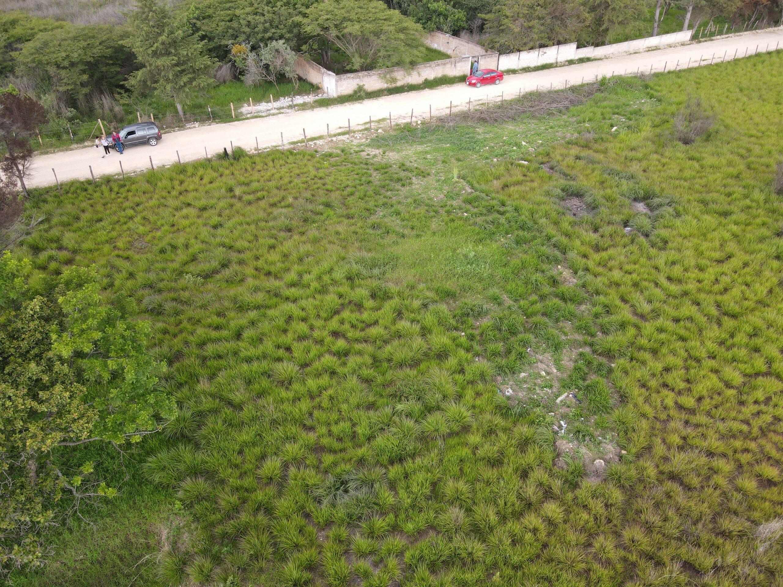 terrenos en renta en comitan