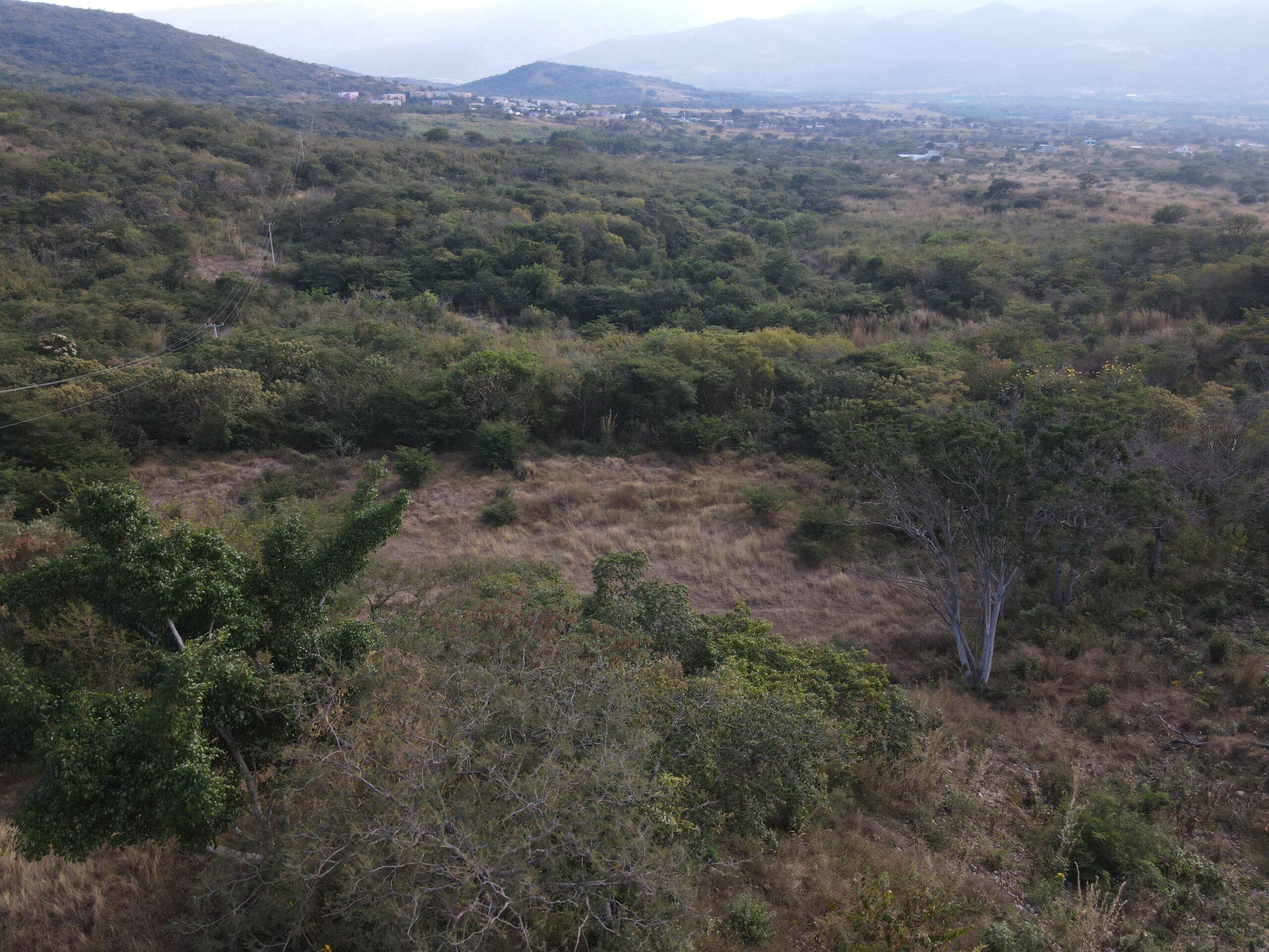 20 hectareas en venta en tuxtla chiapas